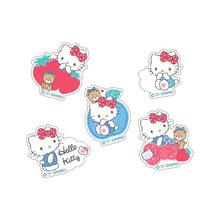 Load image into Gallery viewer, Sanrio Character Gel Sticker Pack (5 designs)