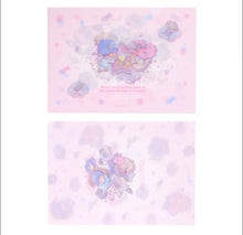 Load image into Gallery viewer, Little Twin stars Clear File Set (Dream Series)
