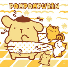 Load image into Gallery viewer, Sanrio Character Shower Curtain
